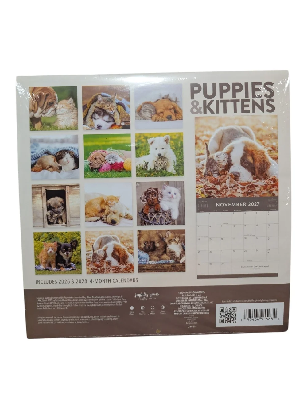 Puppies & Kittens 2027 Inspirational Calendar